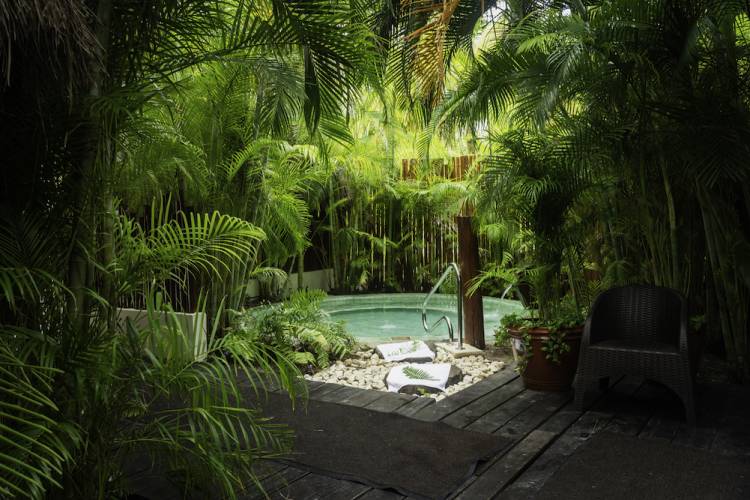 Overview of swirling outdoor hot tub surrounded by green plants with an entrance decorated with ferns, Akumal, Mexico